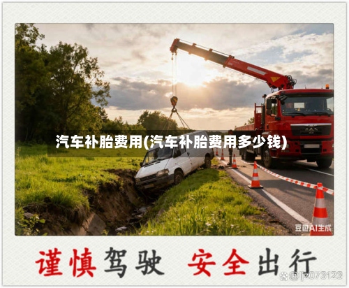 汽车补胎费用(汽车补胎费用多少钱)