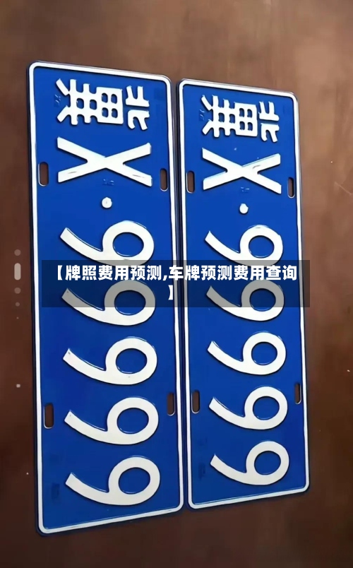 【牌照费用预测,车牌预测费用查询】