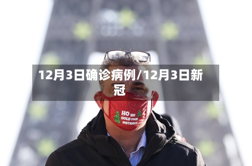 12月3日确诊病例/12月3日新冠