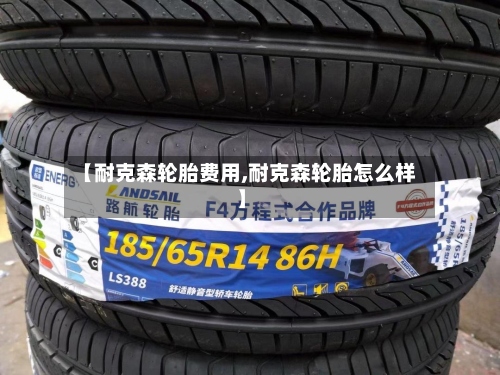【耐克森轮胎费用,耐克森轮胎怎么样】