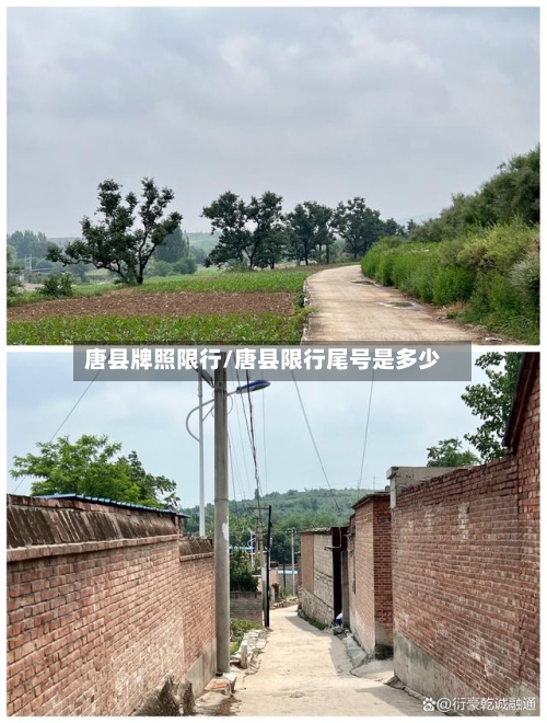 唐县牌照限行/唐县限行尾号是多少