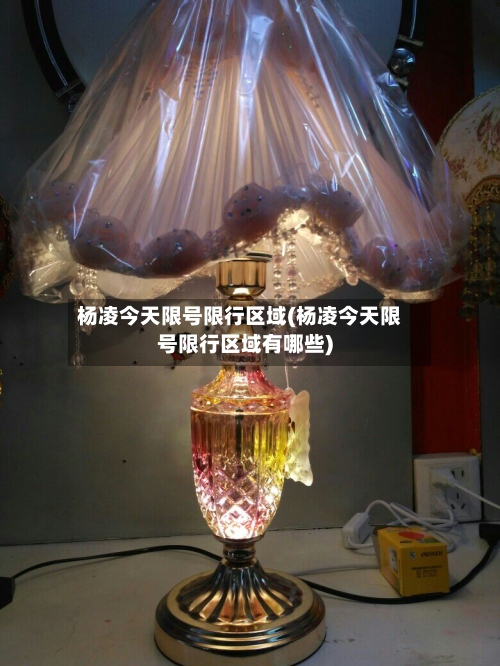 杨凌今天限号限行区域(杨凌今天限号限行区域有哪些)-第2张图片