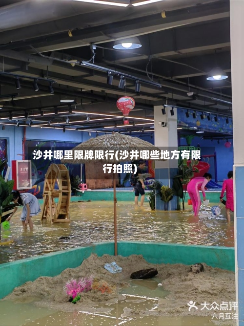 沙井哪里限牌限行(沙井哪些地方有限行拍照)-第2张图片