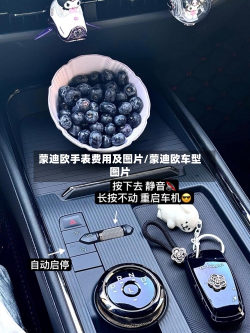 蒙迪欧手表费用及图片/蒙迪欧车型图片