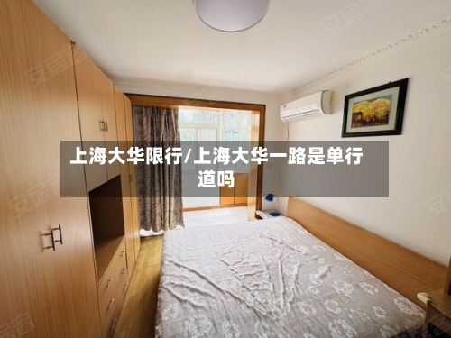 上海大华限行/上海大华一路是单行道吗-第3张图片