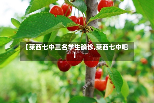【莱西七中三名学生确诊,莱西七中吧】