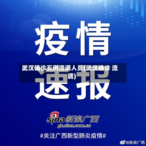 武汉确诊五例流调人员(武汉确诊 流调)-第2张图片