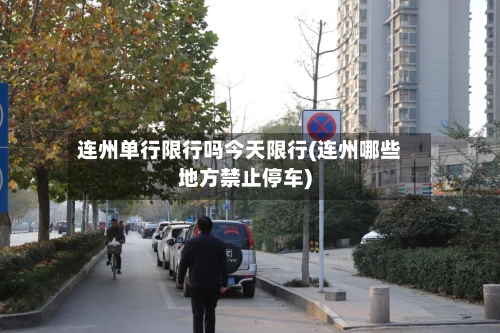 连州单行限行吗今天限行(连州哪些地方禁止停车)-第3张图片