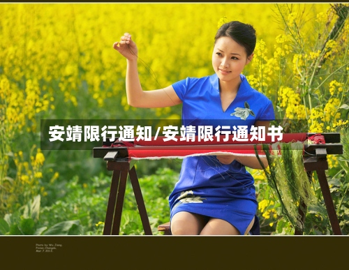 安靖限行通知/安靖限行通知书