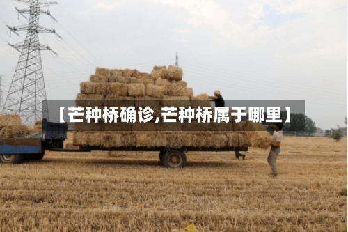【芒种桥确诊,芒种桥属于哪里】