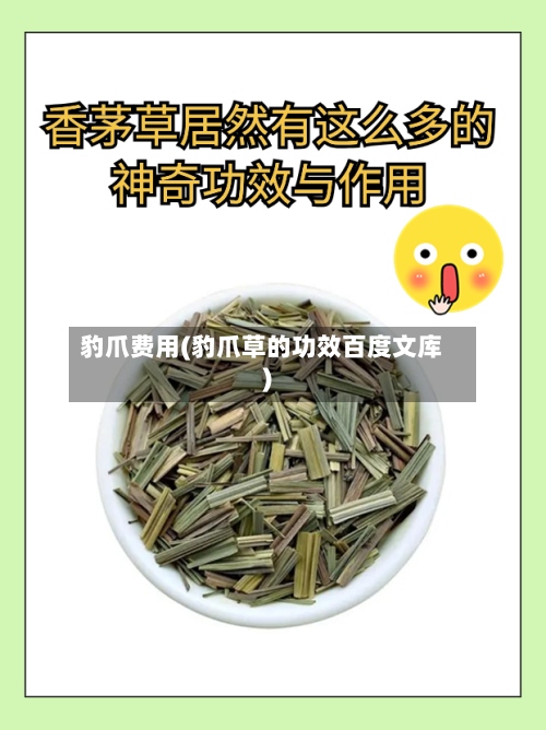 豹爪费用(豹爪草的功效百度文库)-第2张图片