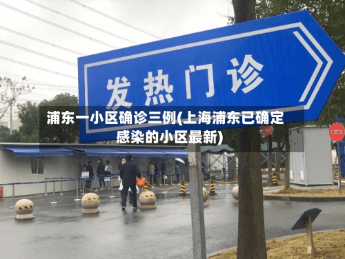 浦东一小区确诊三例(上海浦东已确定感染的小区最新)