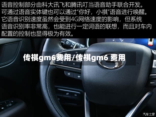 传祺gm6费用/传祺gm6 费用-第3张图片