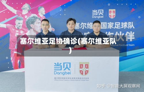 塞尔维亚足协确诊(塞尔维亚队)-第2张图片