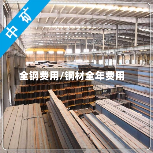 全钢费用/钢材全年费用-第3张图片