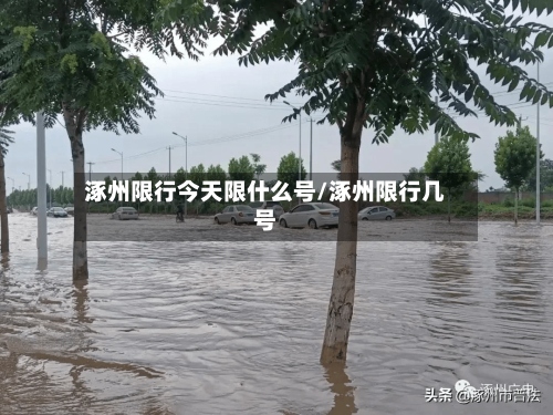 涿州限行今天限什么号/涿州限行几号