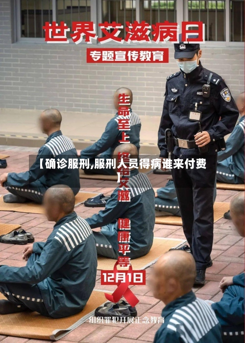 【确诊服刑,服刑人员得病谁来付费】-第3张图片