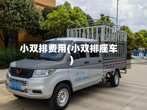 小双排费用(小双排座车)