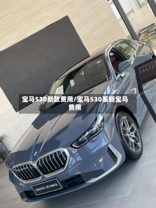 宝马530新款费用/宝马530系新宝马费用