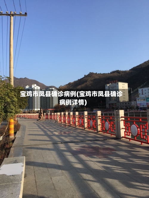 宝鸡市凤县确诊病例(宝鸡市凤县确诊病例详情)-第2张图片