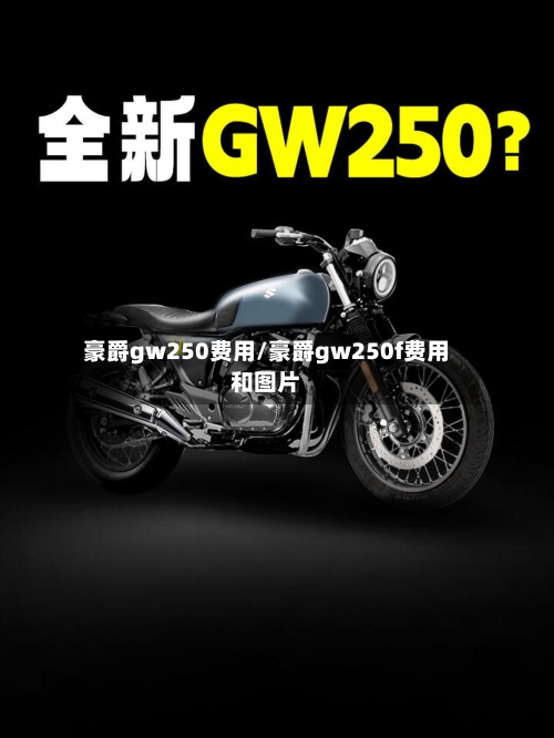 豪爵gw250费用/豪爵gw250f费用和图片-第2张图片