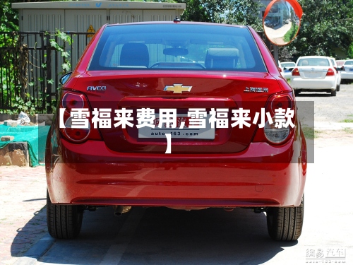 【雪福来费用,雪福来小款】-第2张图片