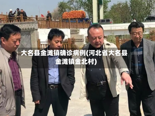 大名县金滩镇确诊病例(河北省大名县金滩镇金北村)-第3张图片