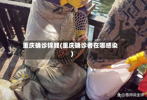 重庆确诊锦鲤(重庆确诊者在哪感染)-第2张图片