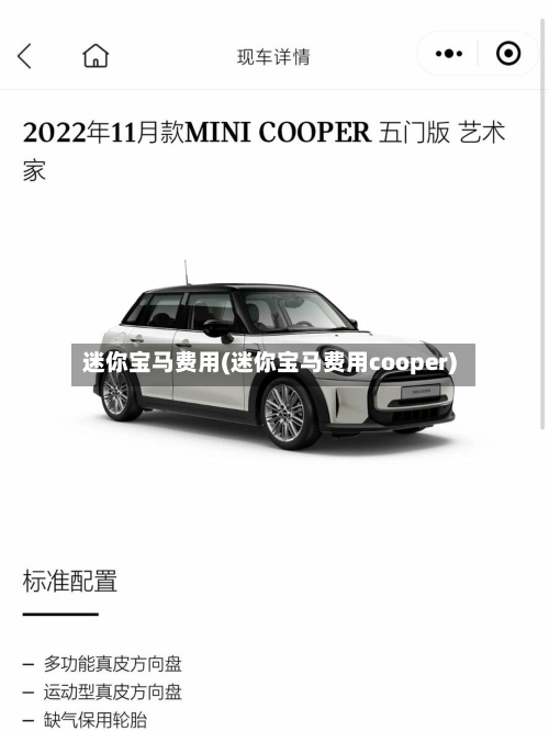 迷你宝马费用(迷你宝马费用cooper)