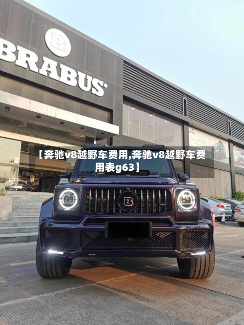 【奔驰v8越野车费用,奔驰v8越野车费用表g63】