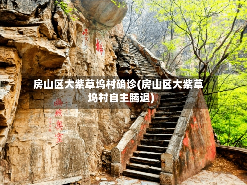 房山区大紫草坞村确诊(房山区大紫草坞村自主腾退)