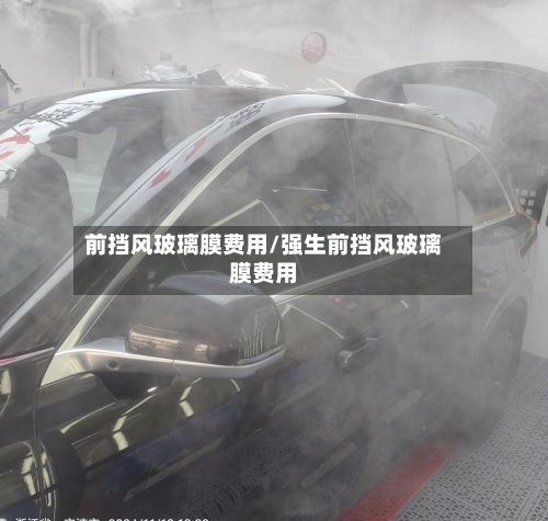 前挡风玻璃膜费用/强生前挡风玻璃膜费用-第3张图片