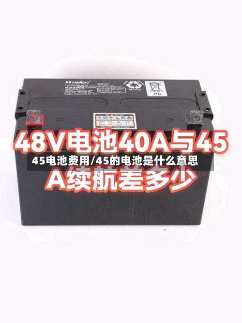 45电池费用/45的电池是什么意思