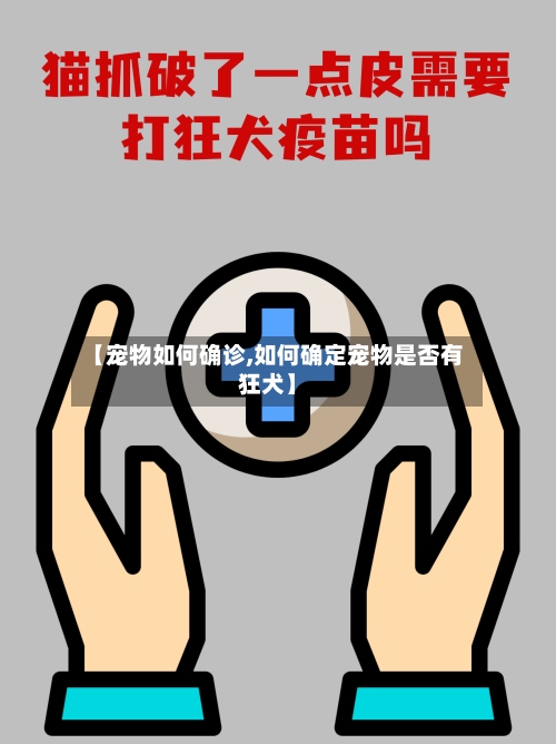 【宠物如何确诊,如何确定宠物是否有狂犬】-第2张图片
