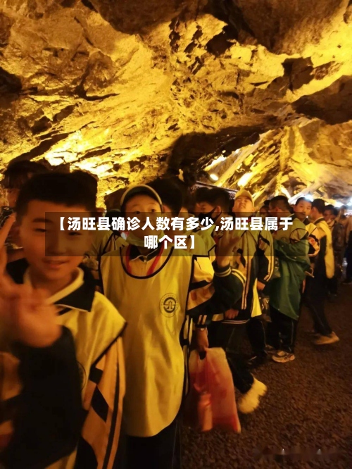 【汤旺县确诊人数有多少,汤旺县属于哪个区】-第3张图片