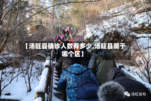 【汤旺县确诊人数有多少,汤旺县属于哪个区】-第2张图片