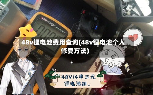 48v锂电池费用查询(48v锂电池个人修复方法)