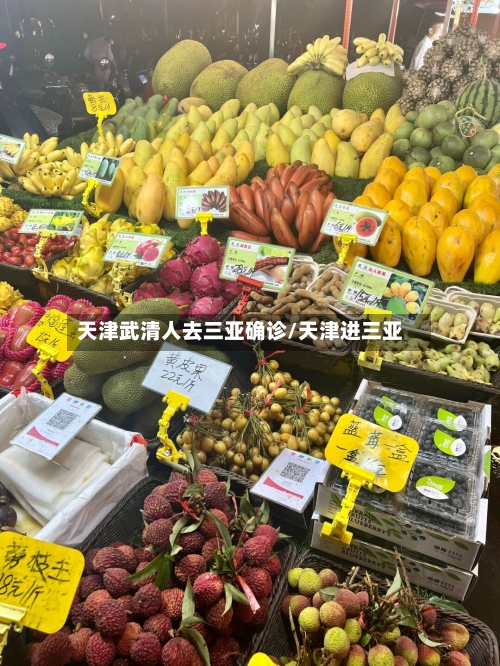 天津武清人去三亚确诊/天津进三亚