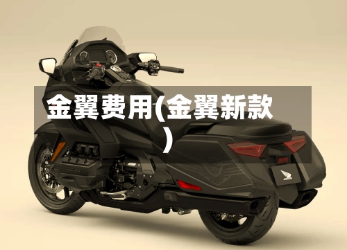 金翼费用(金翼新款)