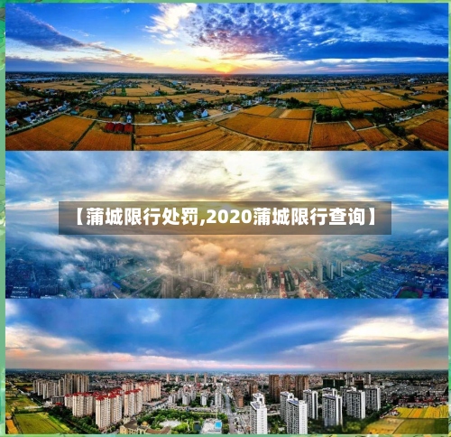 【蒲城限行处罚,2020蒲城限行查询】