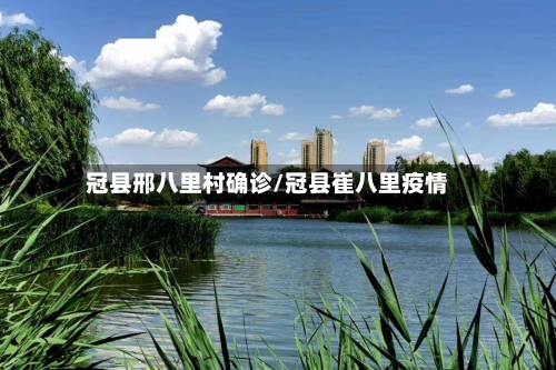 冠县邢八里村确诊/冠县崔八里疫情-第3张图片