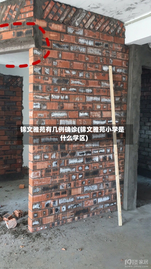 锦文雅苑有几例确诊(锦文雅苑小学是什么学区)