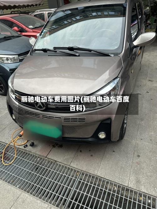 丽驰电动车费用图片(丽驰电动车百度百科)