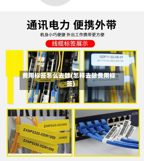 费用标签怎么去除(怎样去除费用标签)