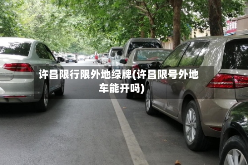 许昌限行限外地绿牌(许昌限号外地车能开吗)-第2张图片