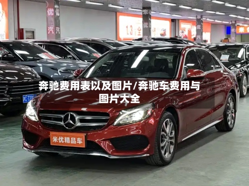 奔驰费用表以及图片/奔驰车费用与图片大全