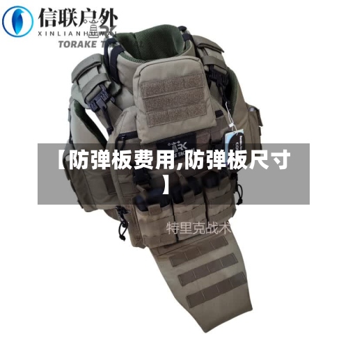 【防弹板费用,防弹板尺寸】-第2张图片