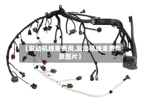 【发动机线束费用,发动机线束费用及图片】-第2张图片