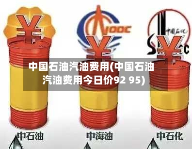 中国石油汽油费用(中国石油汽油费用今日价92 95)-第3张图片