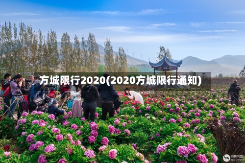 方城限行2020(2020方城限行通知)-第3张图片